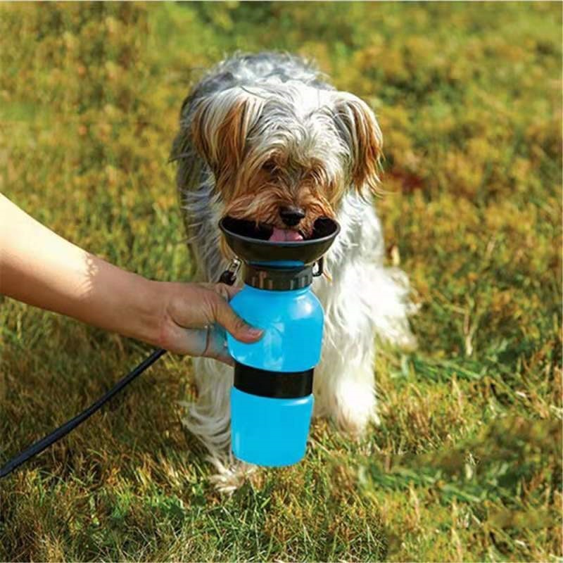 Bouteille d'eau pour chien d'extérieur