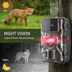 Caméra animalière sans fil photos et vidéos + Carte SD 32Gb