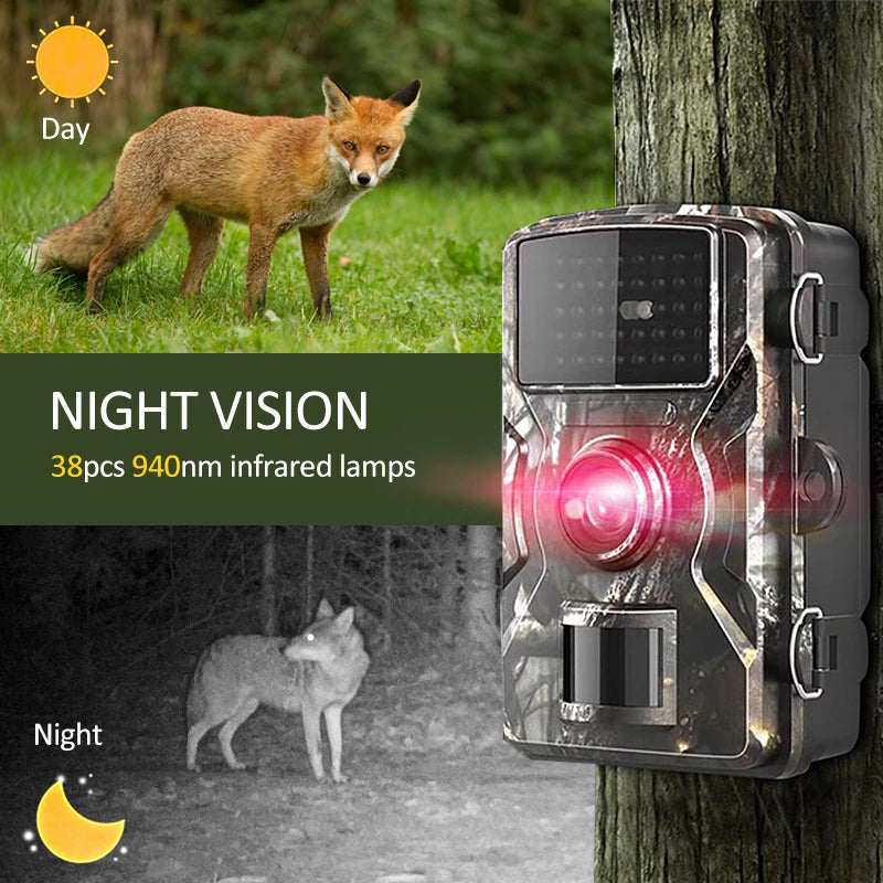 Caméra animalière sans fil photos et vidéos + Carte SD 32Gb