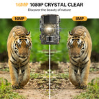 Caméra animalière sans fil photos et vidéos + Carte SD 32Gb