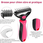 Brosse Magique pour Animaux de Compagnie : Adieu Les Poils Volants et les Nœuds !