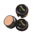 Correcteur ULTRA Couvrant Anti-Cernes Longue Tenue + Pinceau OFFERT