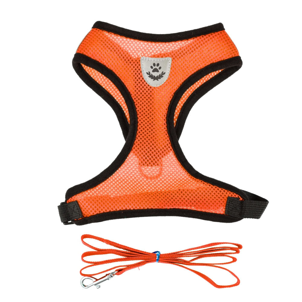 Orange / S,Orange / M,Orange / L,Orange / XL