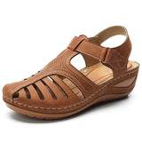 Marron / 36,Marron / 37,Marron / 38,Marron / 39,Marron / 40,Marron / 41,Marron / 42