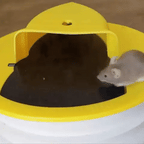 Piège à rats et souris avec trappe intelligente