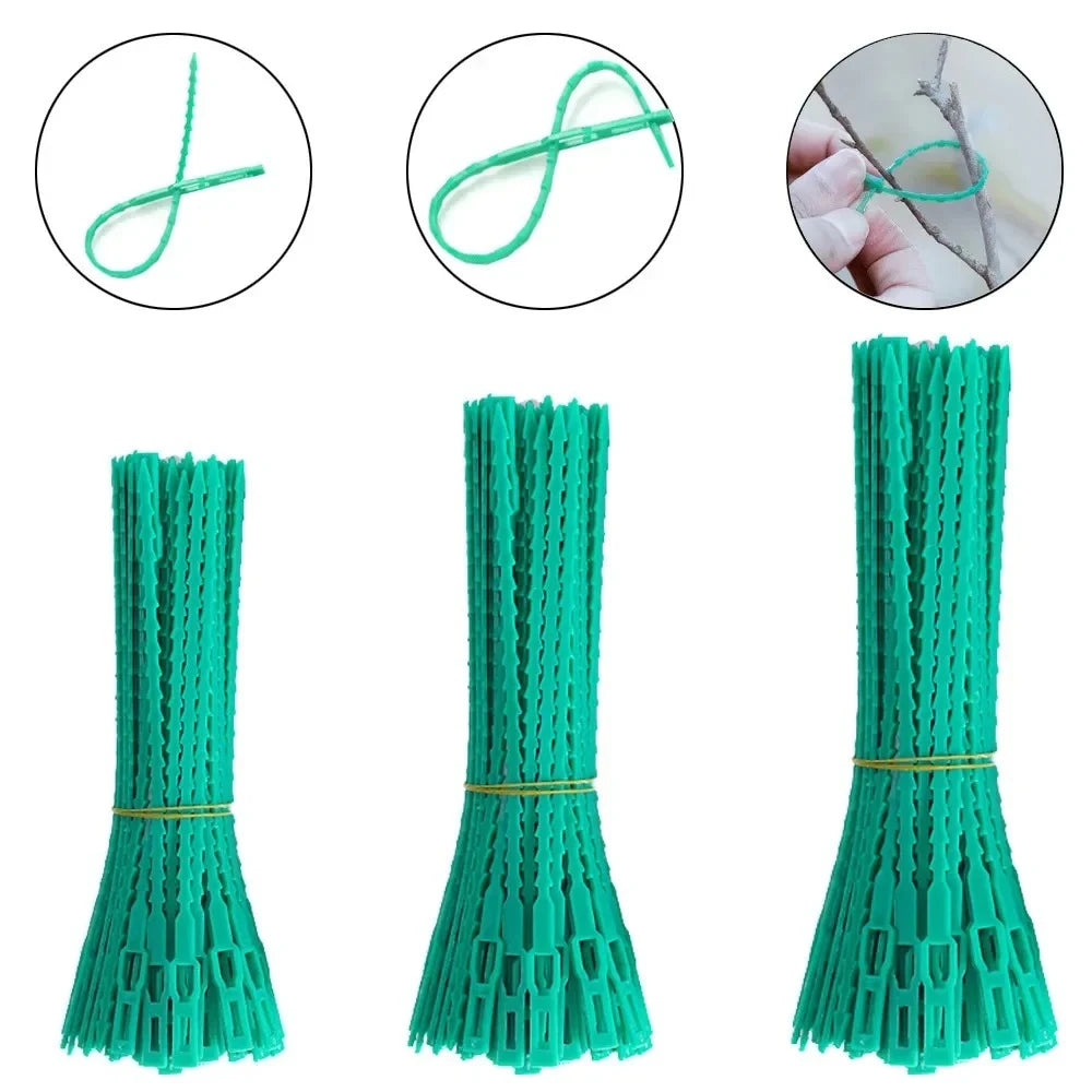 Lot de 100 Attaches de Jardin Réutilisables – Liens de Fixation Réglables pour Plantes, Vignes et Arbustes