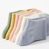 Lot de 3 paires de Chaussettes Courtes Confort & Douceur – 100% Coton