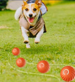Jouet intelligent pour animaux de compagnie, boule mobile USB