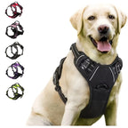 Harnais pour chiens réfléchissant et respirant avec poignée