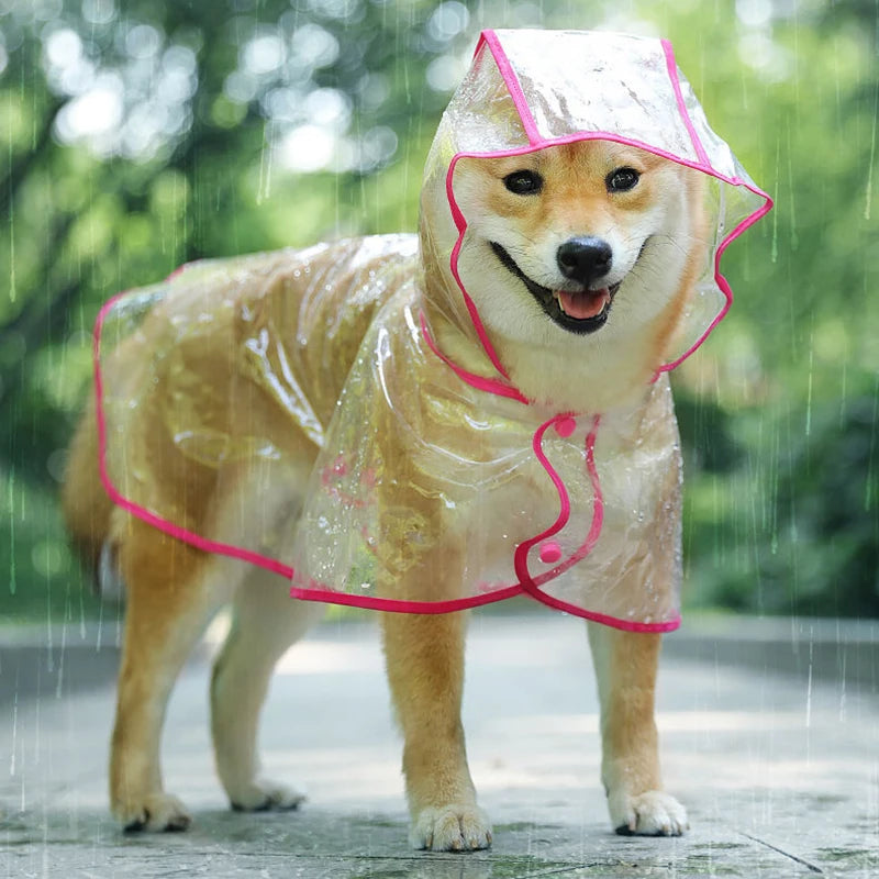 Poncho de pluie à capuche pour chien