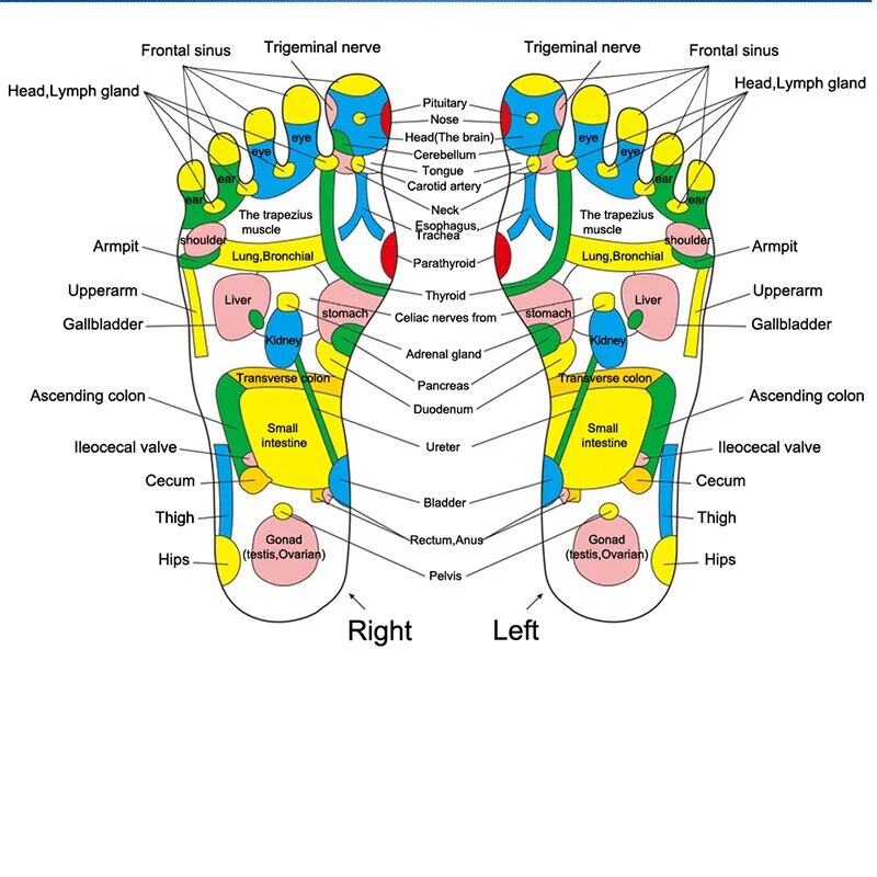 Acupression relaxante pour les pieds : set de massage avec polymères