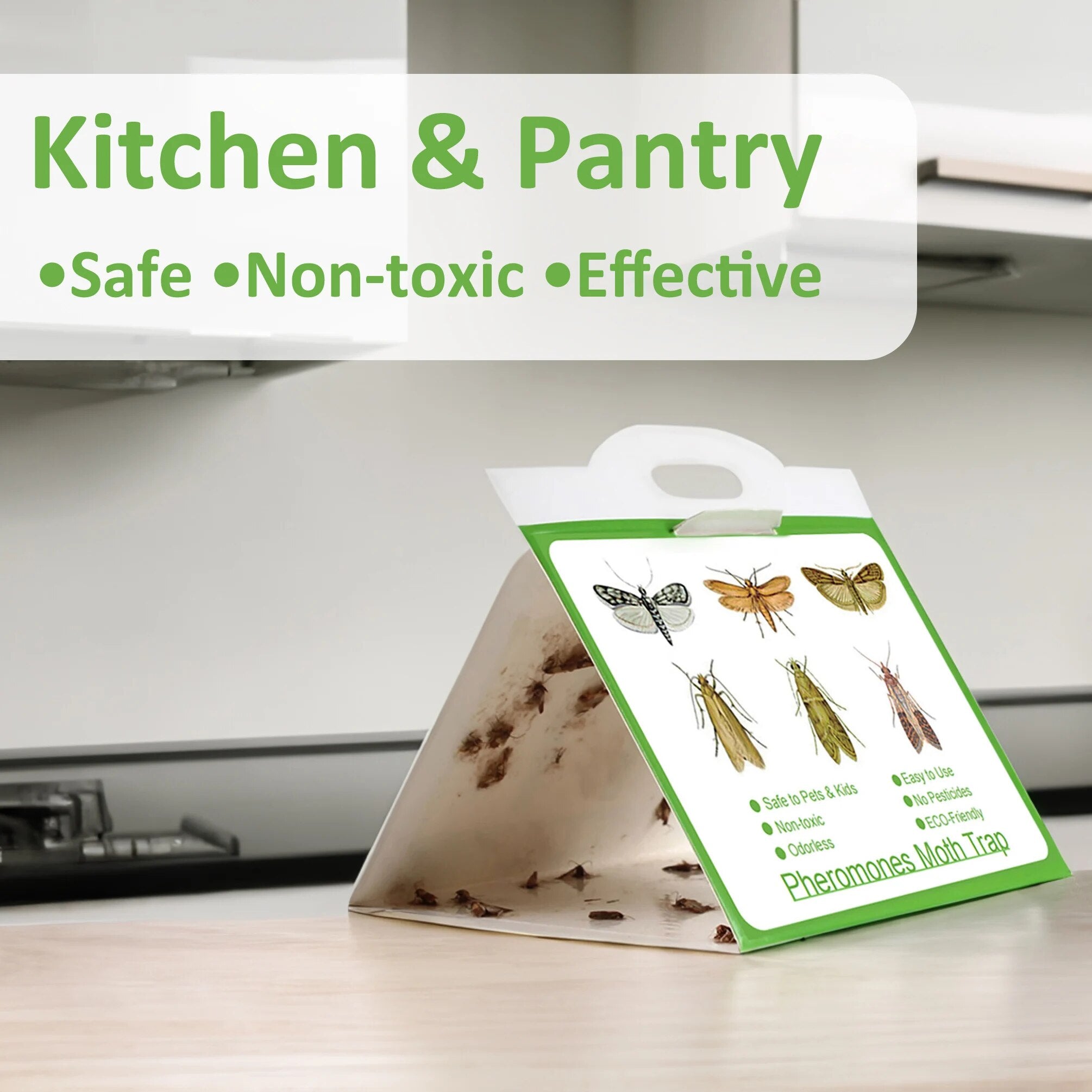Lot de 5 Pièges autocollants anti-mites pour vêtements