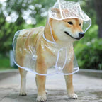 Poncho de pluie à capuche pour chien