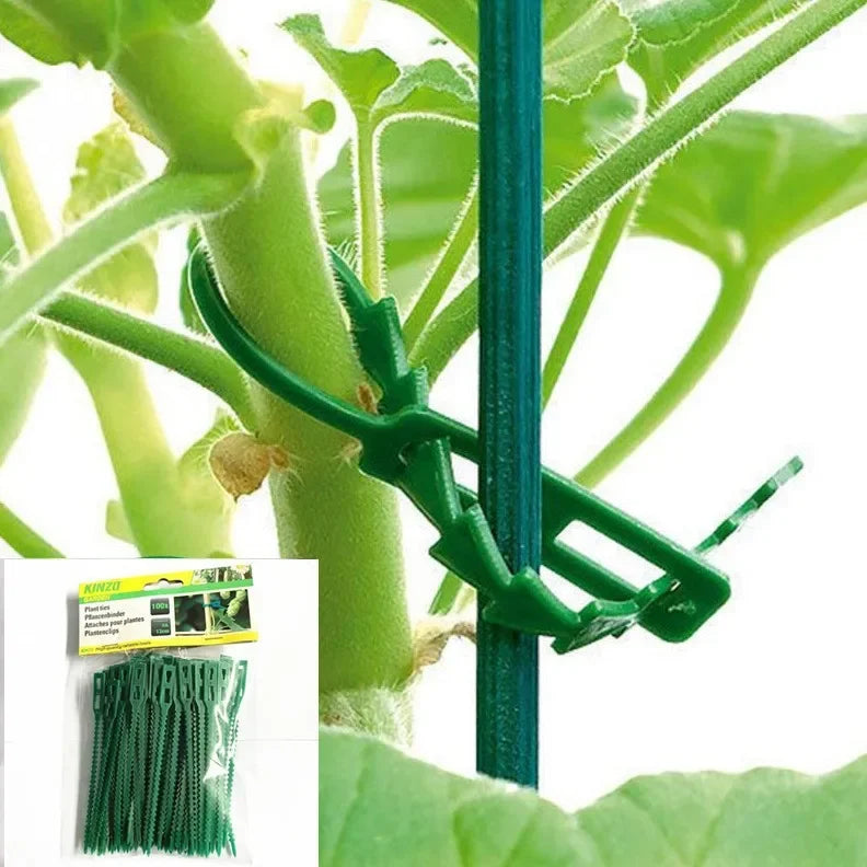 Lot de 100 Attaches de Jardin Réutilisables – Liens de Fixation Réglables pour Plantes, Vignes et Arbustes