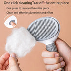 Lot de 2 Brosses Autonettoyantes pour animaux + 1 OFFERTE