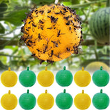 Lot de 10 sphères magiques - Pièges à mouches
