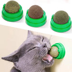 Jouet mural, balle à coller, grattoirs pour chat