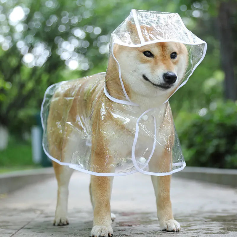 Poncho de pluie à capuche pour chien