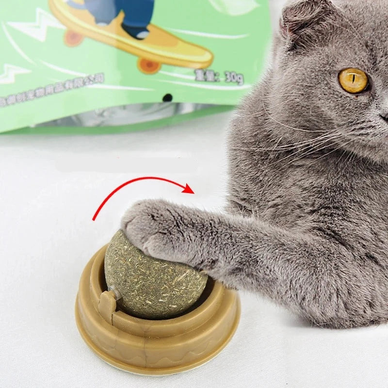 Jouet mural, balle à coller, grattoirs pour chat