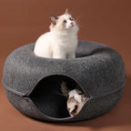 Lit Donut pour chat, Tunnel de jeu interactif