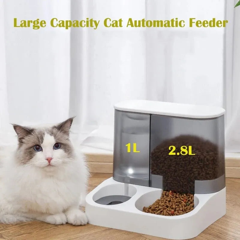 Distributeur automatique de nourriture pour chat et chien