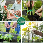 Lot de 100 Attaches de Jardin Réutilisables – Liens de Fixation Réglables pour Plantes, Vignes et Arbustes