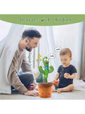 Jouets Cactus chantant, imitant, répétant ce que vous dites