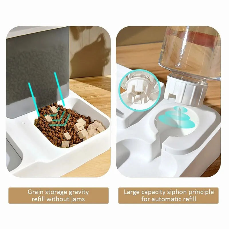 Distributeur automatique de nourriture pour chat et chien