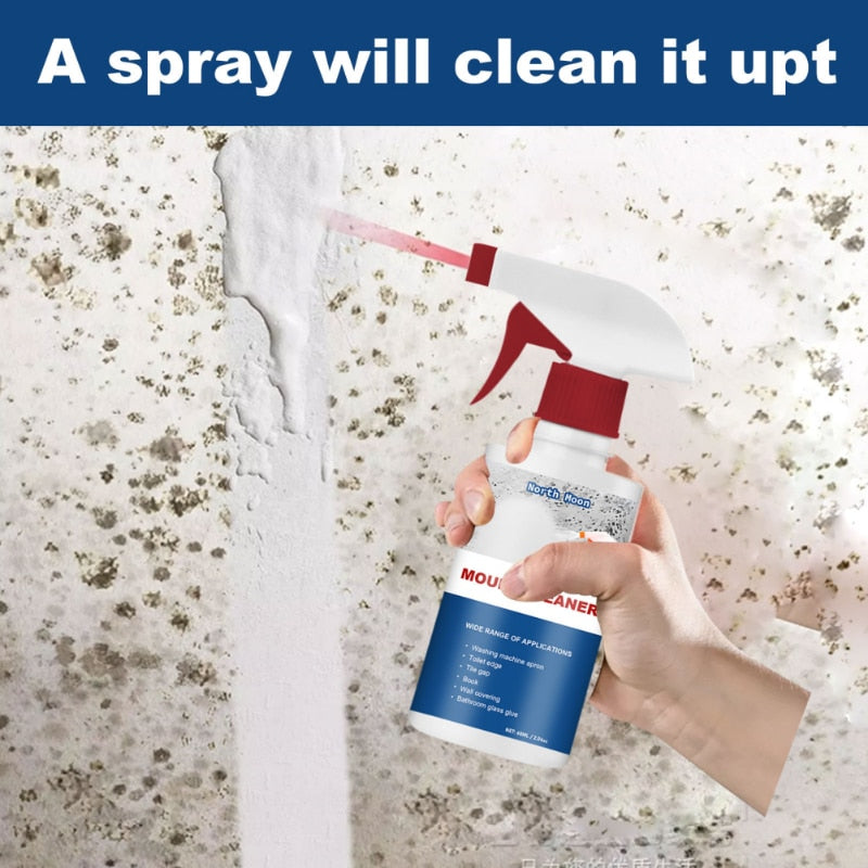 Spray Anti Moisissures