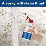 Spray Anti Moisissures