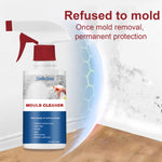 Spray Anti Moisissures