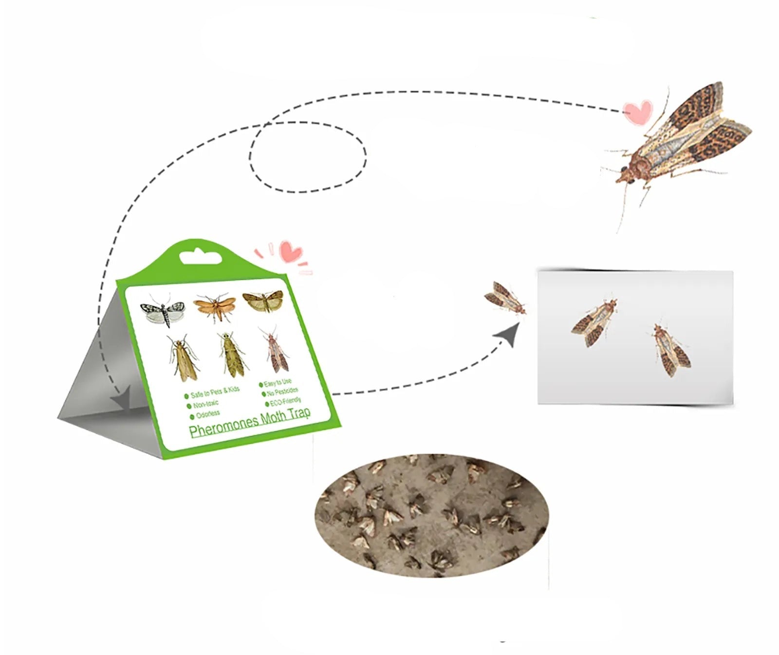 Lot de 5 Pièges autocollants anti-mites pour vêtements