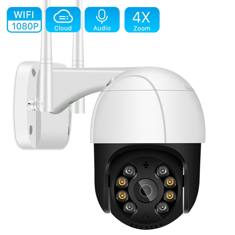 Caméra de surveillance 1080P