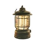 Lampe rétro à économie d'énergie