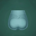 Lot de 2 Culottes Gainantes en Soie Glacée