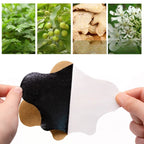 Lot de 12 Patchs genoux anti inflammatoires aux plantes