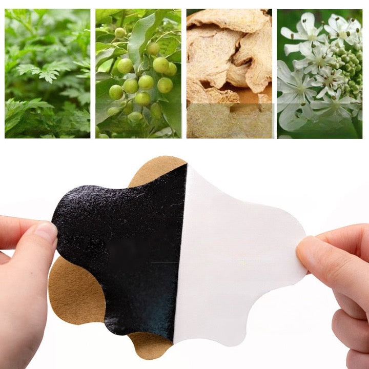 Lot de 12 Patchs genoux anti inflammatoires aux plantes