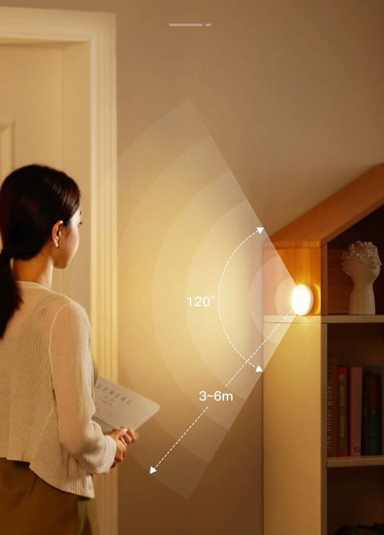 Lot de 2 lampes LED détecteur de mouvement