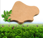 Lot de 12 Patchs genoux anti inflammatoires aux plantes