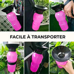 Bouteille d'eau pour chien d'extérieur