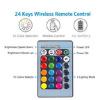 Lot de 2 ampoules RGB avec télécommande