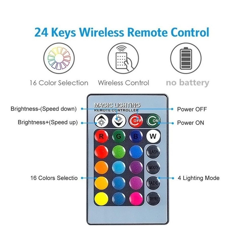 Lot de 2 ampoules RGB avec télécommande