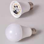Lot de 2 ampoules RGB avec télécommande