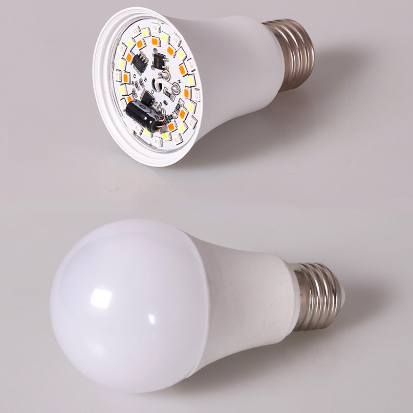 Lot de 2 ampoules RGB avec télécommande
