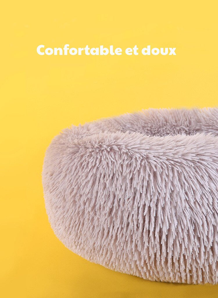 CozyCloud : Le Nuage Confort