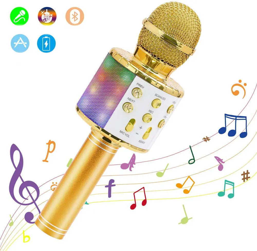 Microphone karaoké 4 en 1