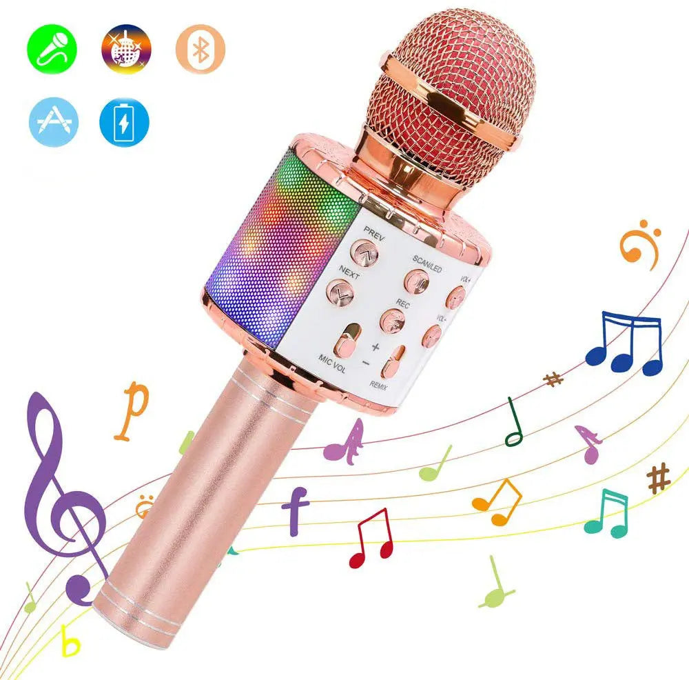 Microphone karaoké 4 en 1
